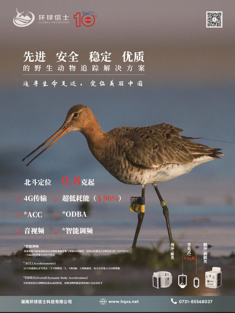 乐橙国际,湖南野生动物追踪,湖南卫星追踪器,湖南追踪器