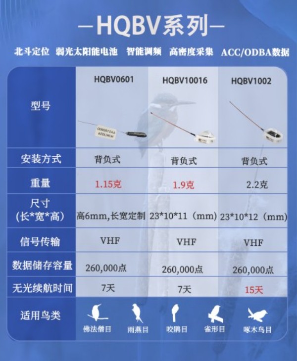 乐橙国际,湖南野生动物追踪,湖南卫星追踪器,湖南追踪器