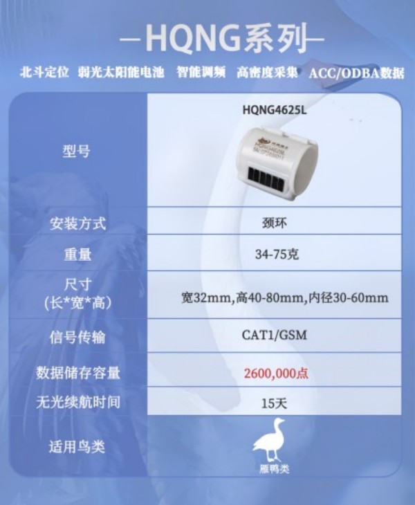 乐橙国际,湖南野生动物追踪,湖南卫星追踪器,湖南追踪器