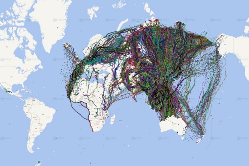 乐橙国际,湖南野生动物追踪,湖南卫星追踪器,湖南追踪器